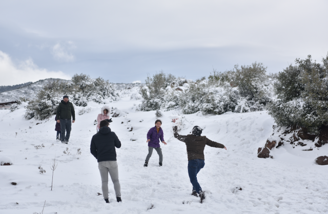 Bornova'da kar alarmı