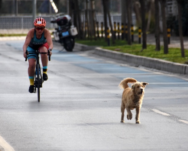 Duatlon İzmir Türkiye Şampiyonası başladı