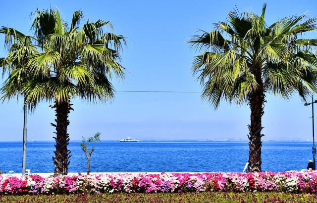 İzmir çiçek açtı!