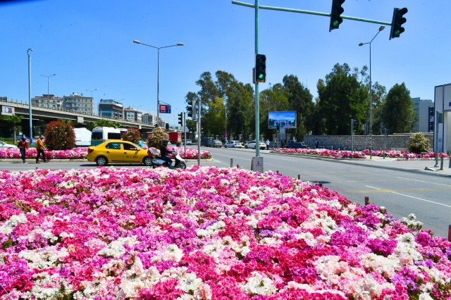 İzmir çiçek açtı!