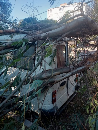 İzmir’de şiddetli rüzgâr yaşamı olumsuz etkiledi