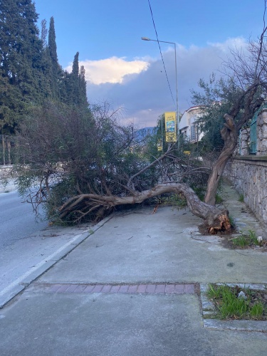 İzmir’de şiddetli rüzgâr yaşamı olumsuz etkiledi