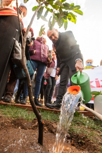 İkizdere’den kurtarılan fidanlar İzmir’de Turuncu Bahçe’ye dikildi