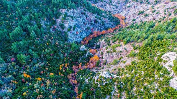 Spil Dağı'ndan sonbahar manzaraları