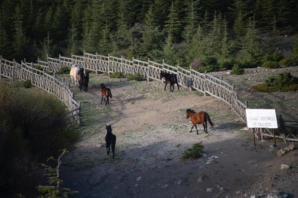 Spil Dağı'ndan sonbahar manzaraları