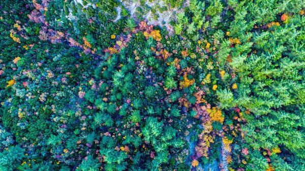 Spil Dağı'ndan sonbahar manzaraları