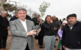 Bornova Belediyesi’nden tarımsal üretime destek: Zeytincilik eğitimi başlıyor