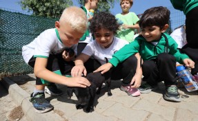 Buca Belediyesi miniklere hayvan sevgisi aşılıyor