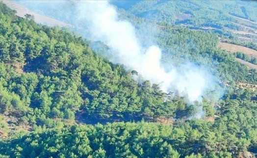 Çanakkale'deki orman yangını kontrol altına alındı