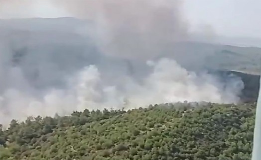 İzmir’deki orman yangını kontrol altına alındı