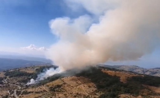 İzmir’deki orman yangını kontrol altında