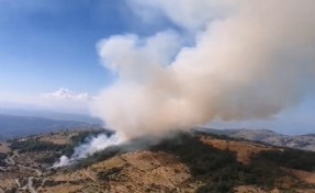 İzmir’deki orman yangını kontrol altında