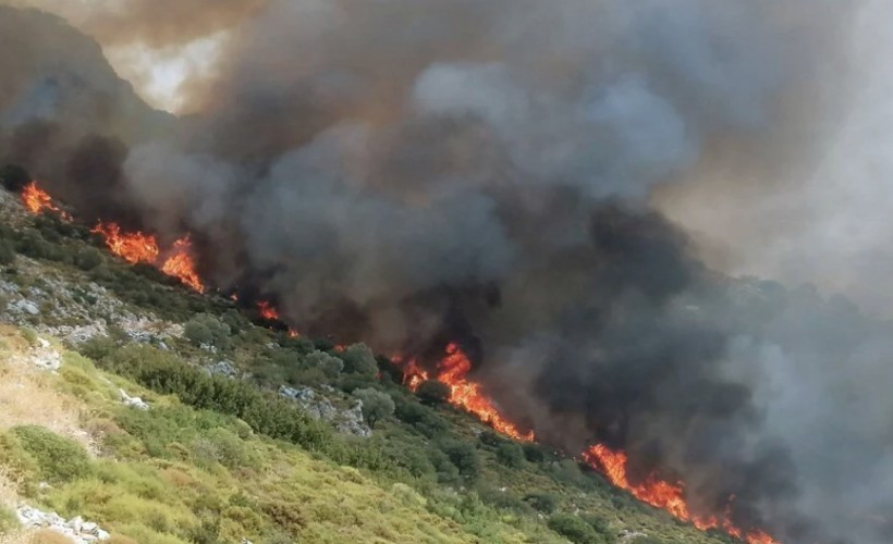 Muğla’da orman yangını!