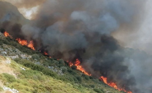 Muğla’da orman yangını!