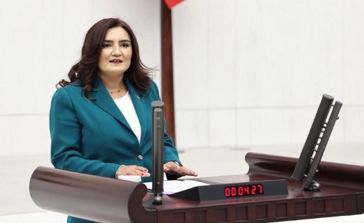 Sevda Erdan Kılıç’tan 100. yıl mesajı: En güzel hayaliydi ve gerçek oldu