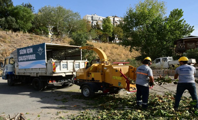 Budanan dallar gübreye dönüşüyor