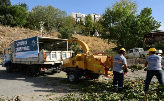 Budanan dallar gübreye dönüşüyor