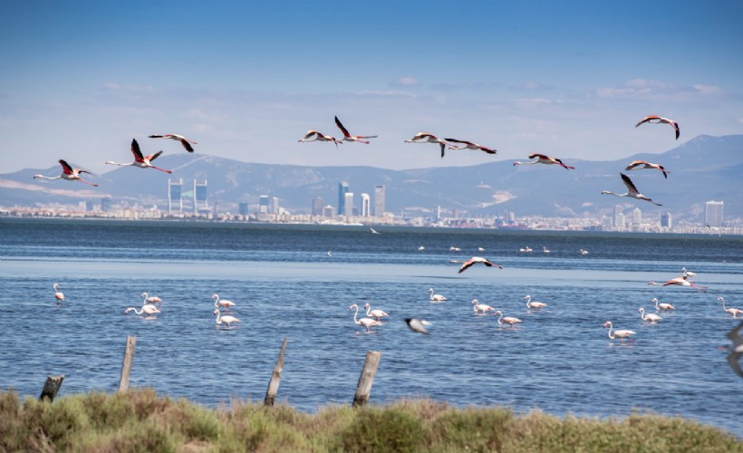 İzmir '2024’te Seyahat Edilmesi Gereken 10 Şehir' listesine girdi