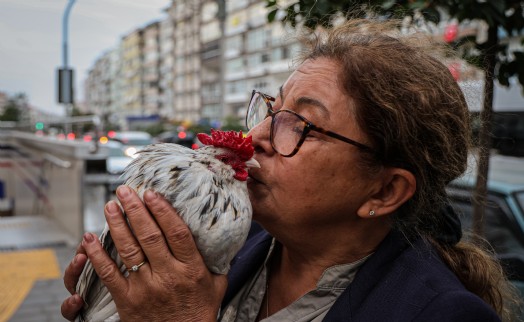 İzmir sokaklarını omuzunda 'Horoz Bıdık' ile karış karış geziyor