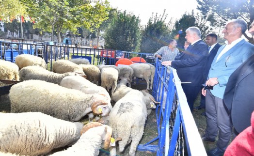 Ödemişli üreticiye küçükbaş hayvan ve yem bitkisi tohumu dağıtıldı