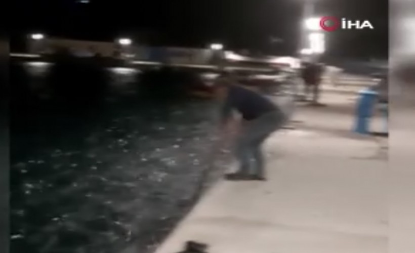 Yunanistan’da binlerce balık kıyıya vurdu