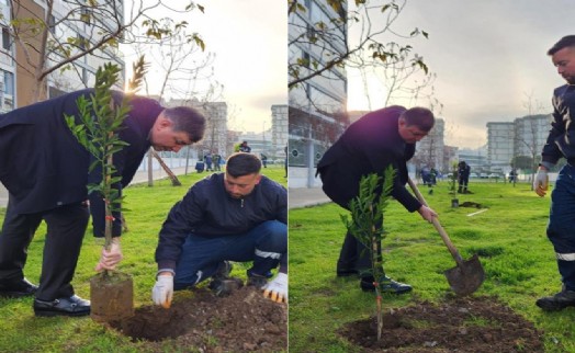 Karşıyaka meyve bahçeleriyle renkleniyor