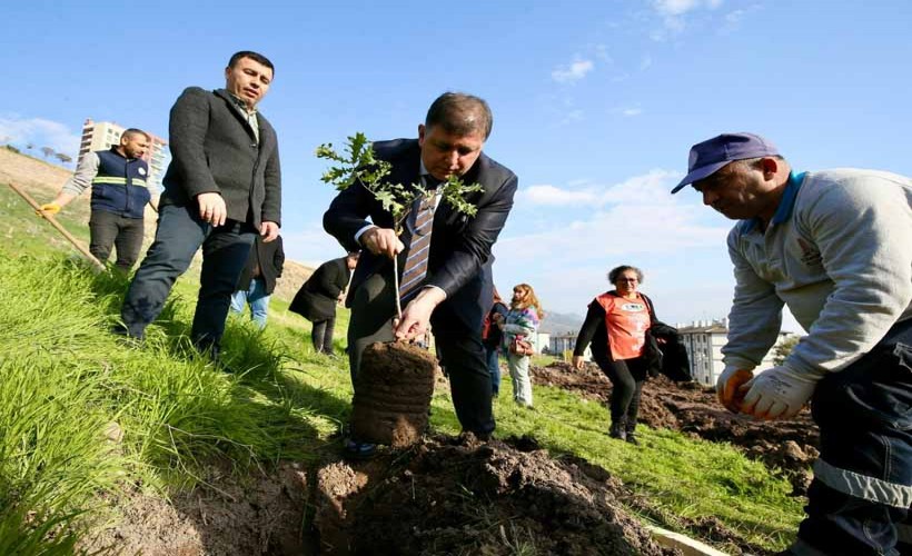 Karşıyaka’da ağaç varlığı hızla artmaya devam ediyor