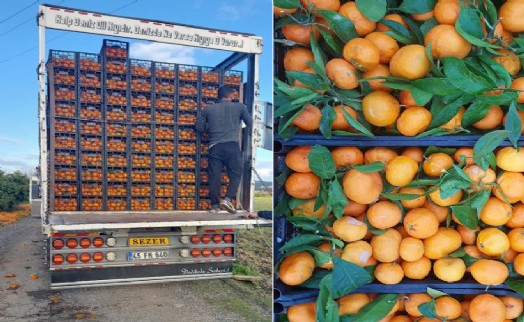 Seferihisar Belediyesi'nden depremzedelere 15 ton mandalina