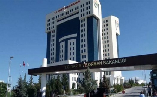 Tarım ve Orman Bakanlığı 7 bin 158 personel alacak!