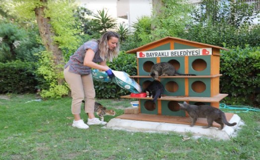 Bayraklı’da can dostlara mama ve su desteği