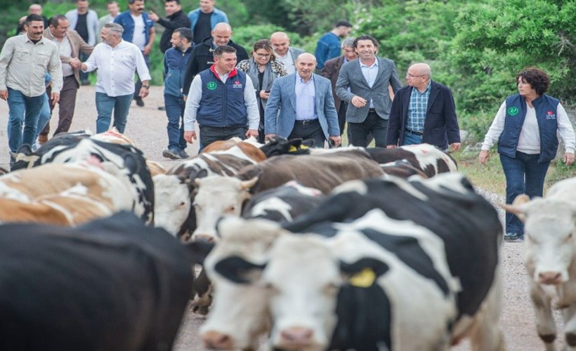 Bergama'da yayla yolculuğu başladı