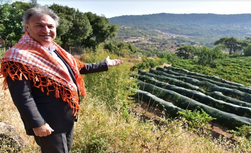 Bornova Kınalı Bamyası’na koruma kalkanı