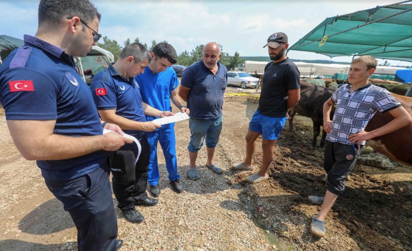 Buca Belediyesi’nde Kurban Bayramı mesaisi