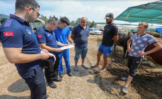 Buca Belediyesi’nde Kurban Bayramı mesaisi