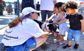 İzmirliler PAKOFEST’te patili dostlarla buluştu