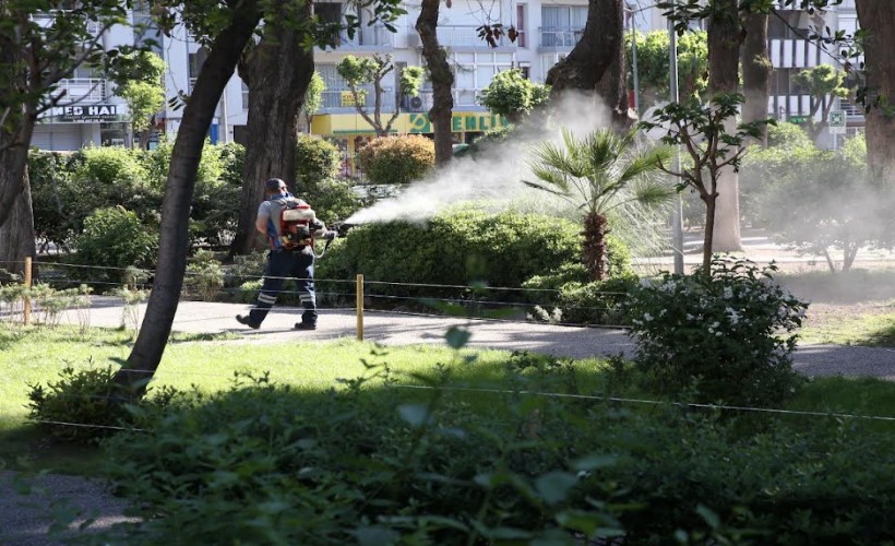 Karşıyaka'da sinek ve haşereyle etkin mücadele