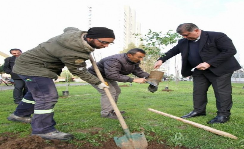 Karşıyaka’da iklim krizine karşı 95 bin ağaç toprakla buluşturuldu