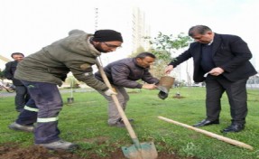 Karşıyaka’da iklim krizine karşı 95 bin ağaç toprakla buluşturuldu