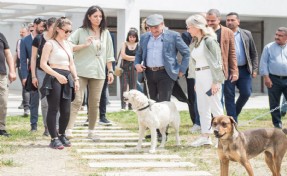 Pati dostları bu festivalde buluşacak