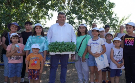 Seferihisar tarımının yeni yıldızı: Ekinezya