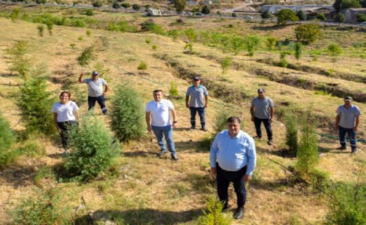 'Karşıyaka Kent Ormanı' geleceğe nefes olacak