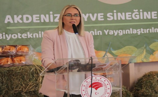 AK Partili Çankırı’dan CHP’li Başkan Soyer’e; 'U dönüşü' göndermesi