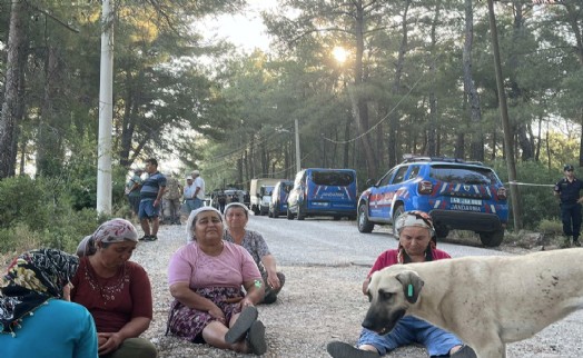 Akbelen Ormanı’na sabaha karşı 05.30’da baskın