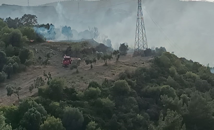 Aliağa’da makilik alanda yangın