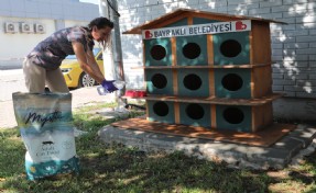 Bayraklı’da can dostlar için 'bir kap su' kampanyası