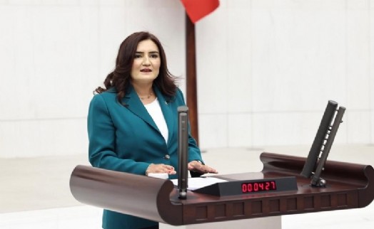 CHP'li Sevda Erdan Kılıç'tan Merdan Yanardağ çağrısı