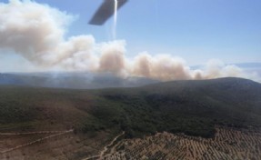 Çeşme’de orman yangını