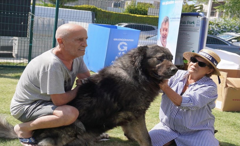 Çeşmeli can dostlar Fest Pati’de buluştu