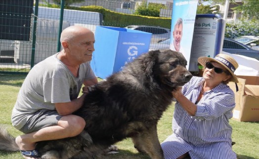 Çeşmeli can dostlar Fest Pati’de buluştu