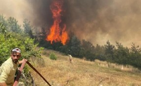 Gökçeada, Osmaniye ve Kahramanmaraş'ta orman yangını